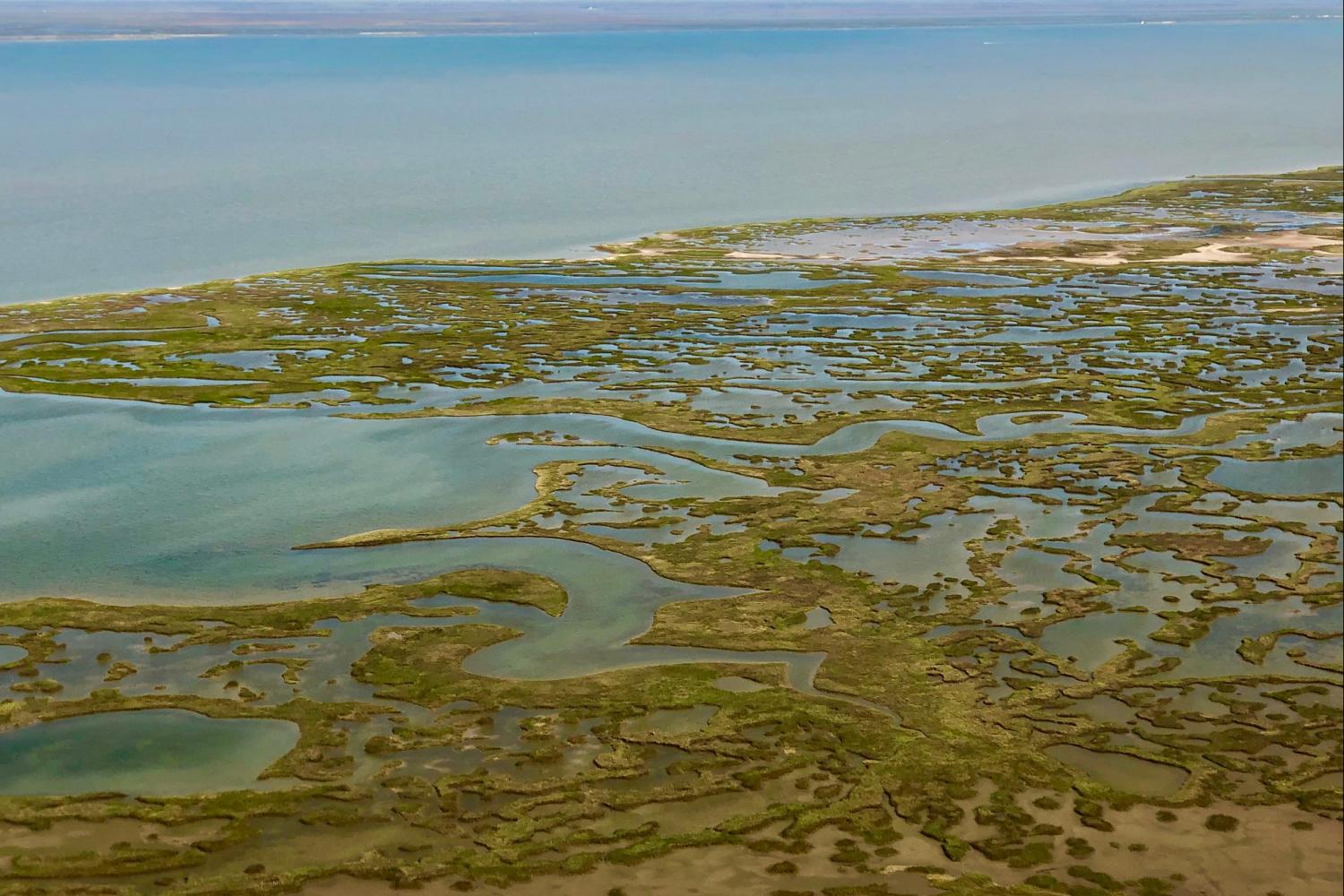 Gulf Coast Collaborative to reduce carbon emissions